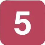 No-5 Icon