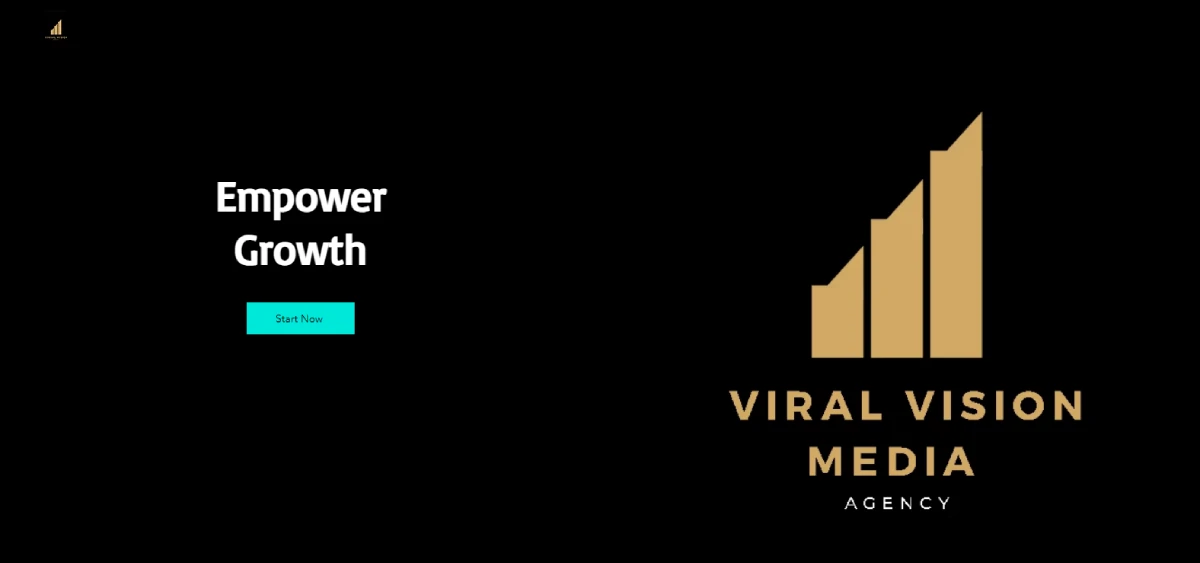 ViralVision Media